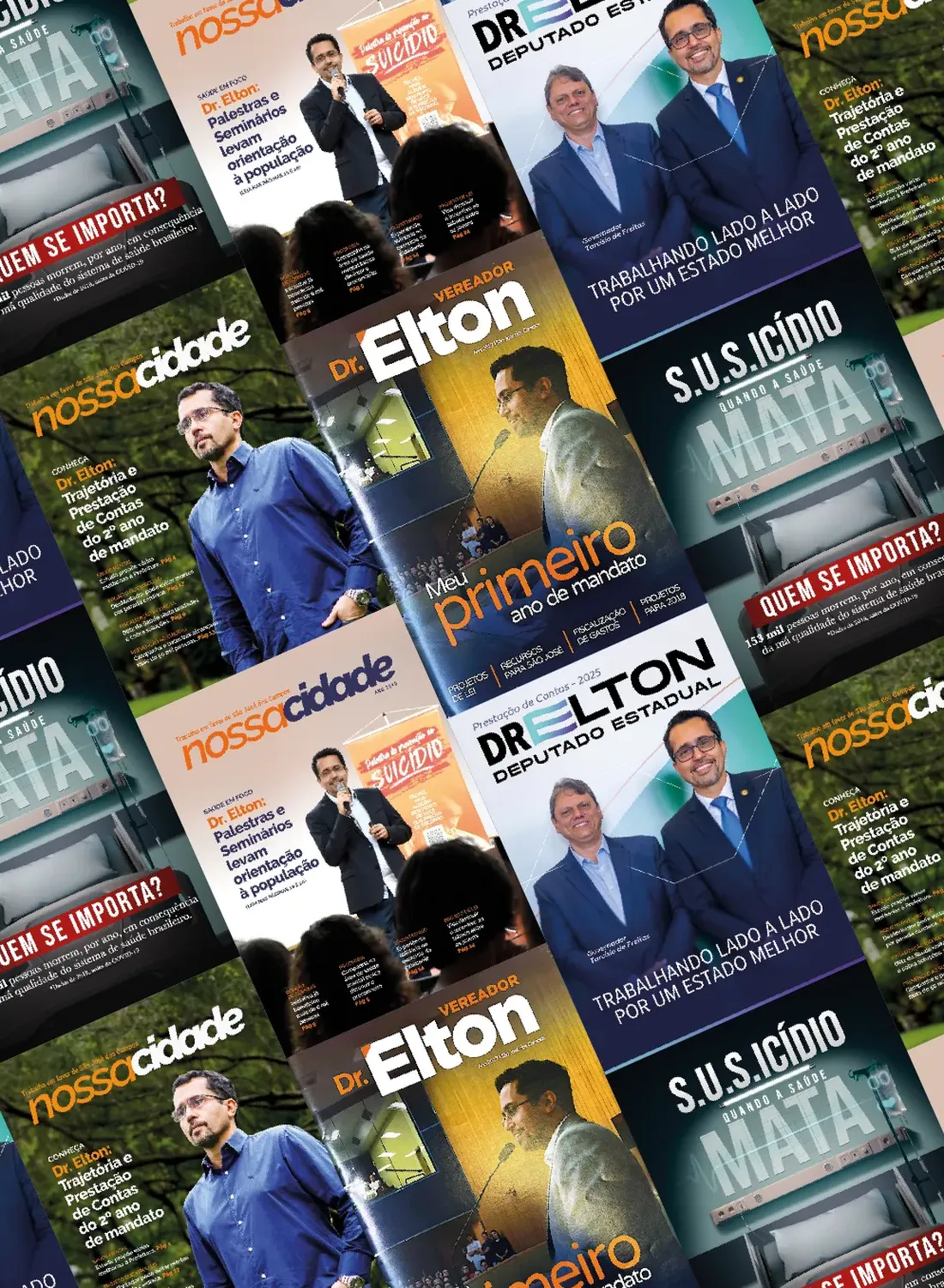Página 13 de 48 da Revista Oficial do Dr. Elton — seção de prestação de contas e leis apresentadas