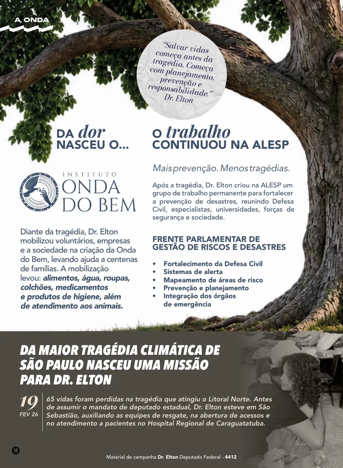 Página 14 de 48 da Revista Oficial do Dr. Elton — seção de prestação de contas e leis apresentadas